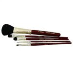 Vega Basic Make Up Brushes - 5 Piece