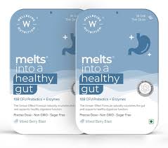 Wellbeing Melts Into A Healthy Gut - 30 Piece